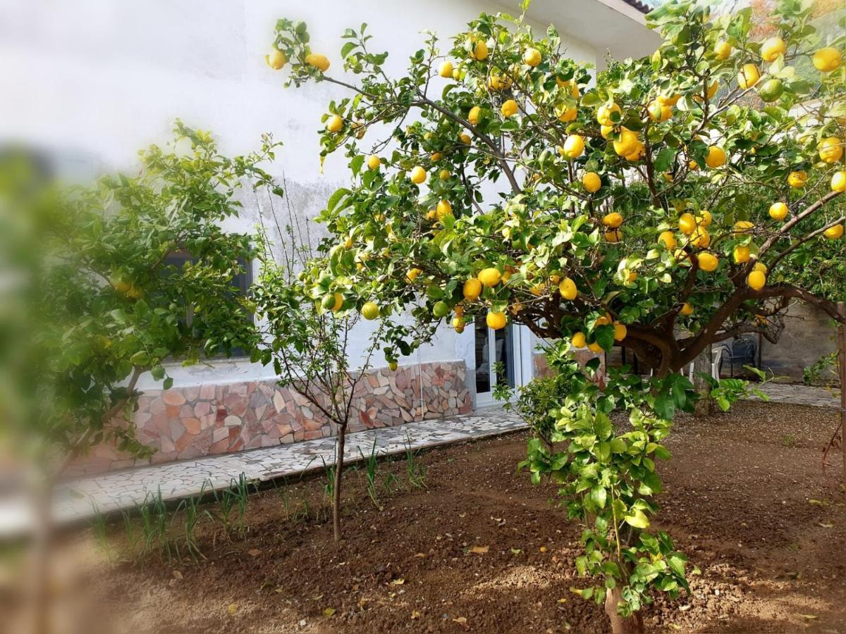 סקליאה B&B Collemare מראה חיצוני תמונה